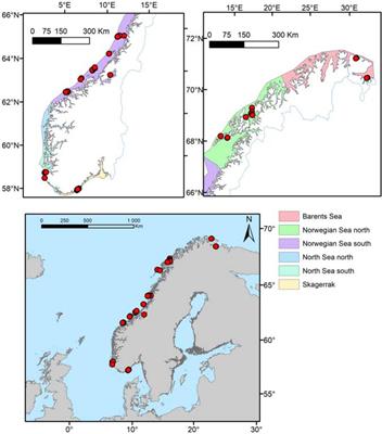 Variation in Population Structure and Standing Stocks of Kelp Along Multiple Environmental Gradients and Implications for Ecosystem Services